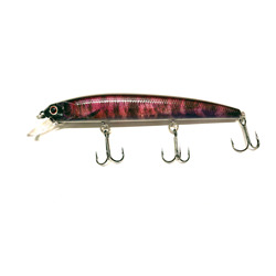 ASURA II 925 SP 秋鱒